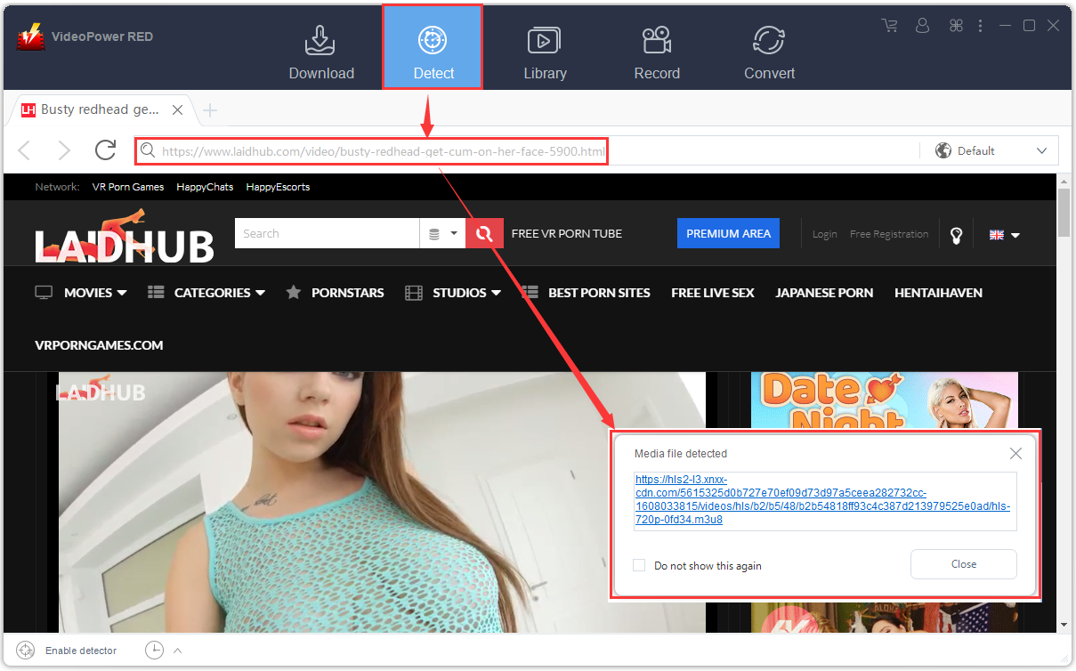 download laidhub video, detect porn url