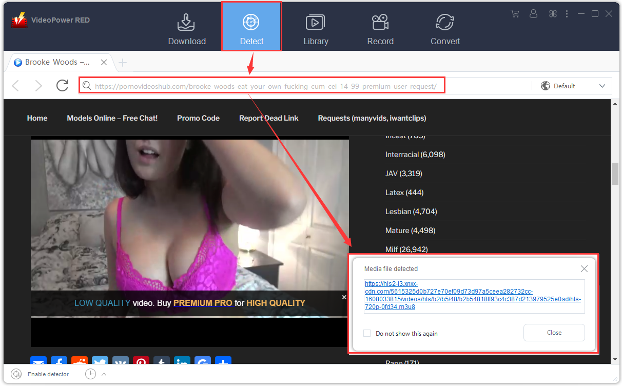 download pornovideoshub, detect video