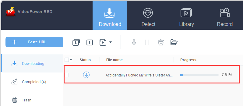 porn downloader, downloading process