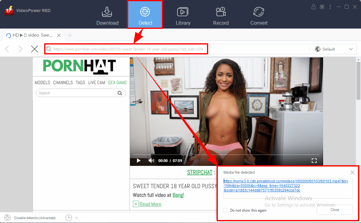 save porn to computer, detect porn video